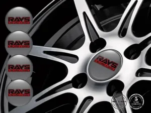 Rays Rademblem Ausgabe Premium Gewölbte Aufkleber